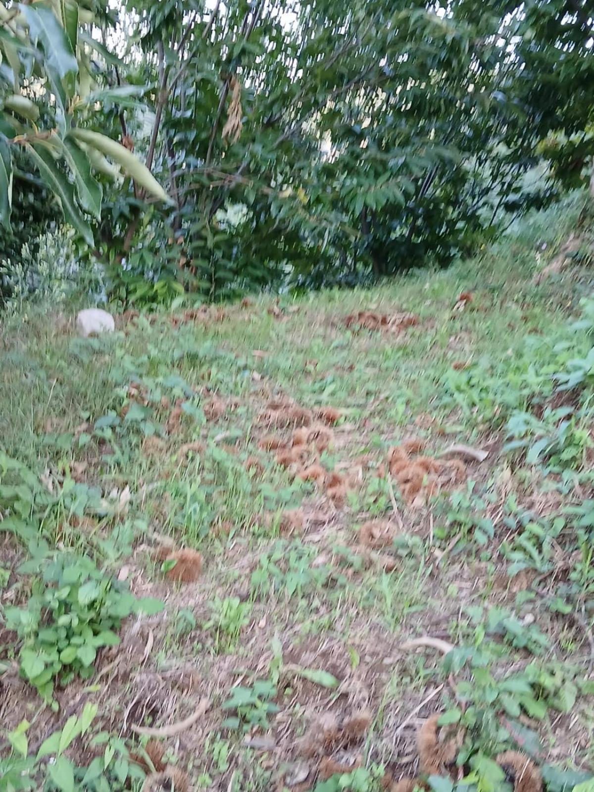 Terra Vitale Cava deʼ Tirreni Екстериор снимка